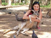 Отзыв Griffith University, Gold Coast Отзыв Griffith University, Gold Coast