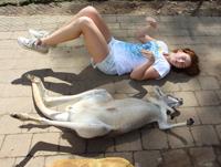 Отзыв Griffith University, Gold Coast Отзыв Griffith University, Gold Coast