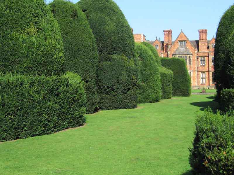 5.000 фунтов - стипендия от престижного University of York