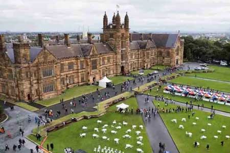 поступление в University of Sydney поступление в University of Sydney