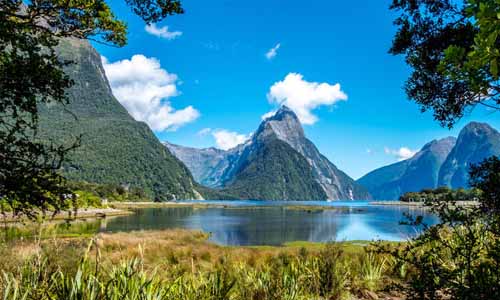 обучение в Новой Зеландии обучение в Новой Зеландии