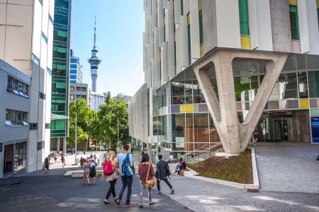 учеба в Новой Зеландии учеба в Новой Зеландии