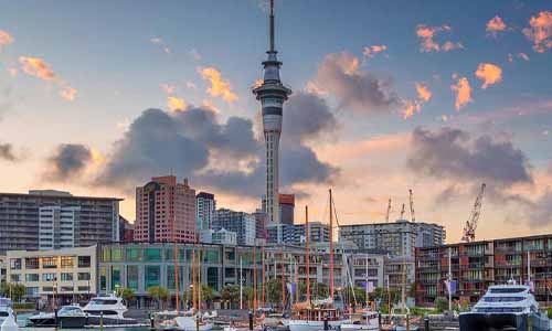 учеба в Новой Зеландии учеба в Новой Зеландии